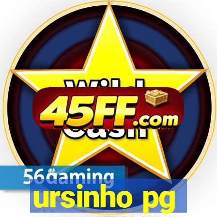 ursinho pg